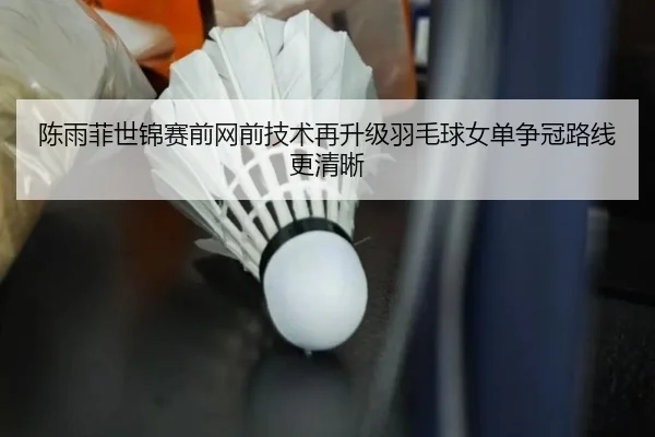 陈雨菲世锦赛前网前技术再升级羽毛球女单争冠路线更清晰